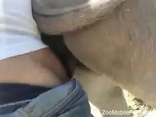 Dude is going to fuck the living shit outta her