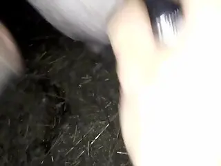 Pig's hole is going to be used by a stretching toy