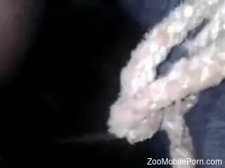 Dude shoves his dick in the animal's mouth too