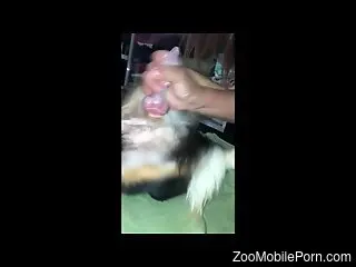 Stiff cock animal lets the MILF ride its dong