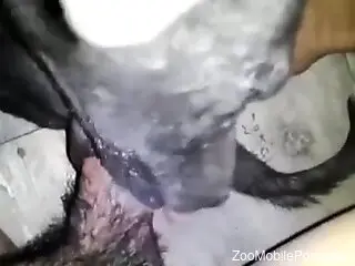 Hairy cock of a horny dude slides in the hole