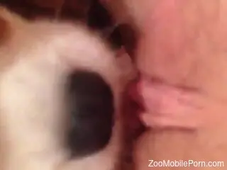 Hot lady is going to get her hot hole licked hard