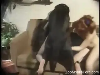 Black beast banging horny ladies in a threesome