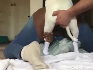 Ripped jeans chick is going to enjoy a mutt dick