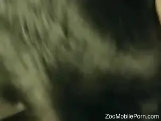 Closeup video dealing with a sexy black beast