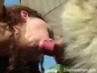 Amateur women filmed in a sexy compilation of dog blowjob