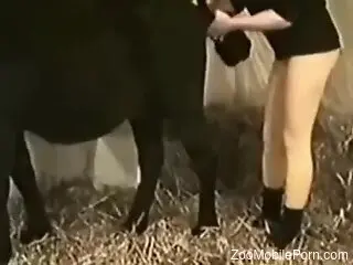 Mature tries heavy sex with a horse in brutal manners
