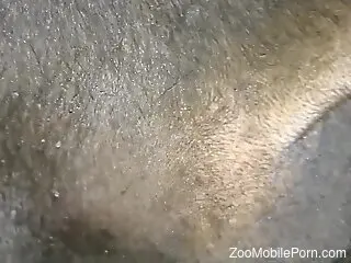 Dude's cock disappears in the gorgeous beast puss