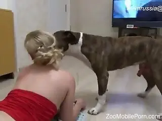 Slim blonde gets her pussy slammed by a horny dog