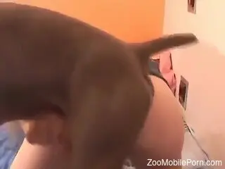 Big boobs babe getting fucked by a twisted beast