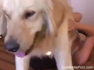 Horny hottie cannot stop fucking animals big time