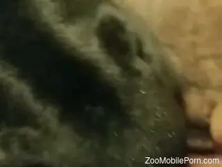 Hot animal pleasuring the great pussy up close