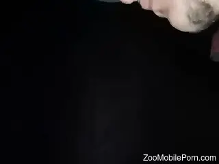 Mare pussy like that should NOT go unfucked, never