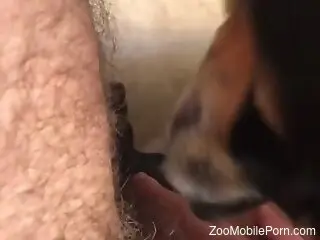 Dude with a hairy cock dealing with a dirty dog