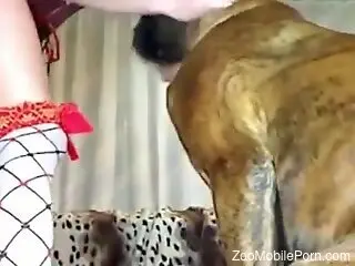 Lovely round of hardcore loving with a sexy dog