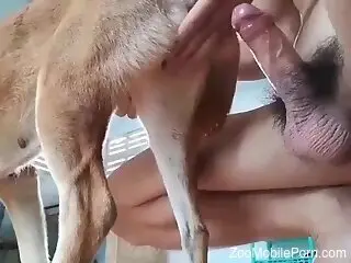Dude is ready to use his cock to fuck a beast
