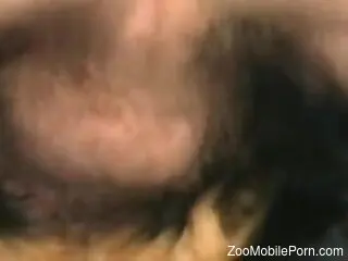 Hot mish fuck movie showing a sexy beast fucking