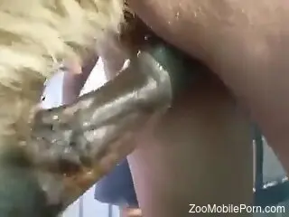 Sexy horse cock entering that opening to ruin it