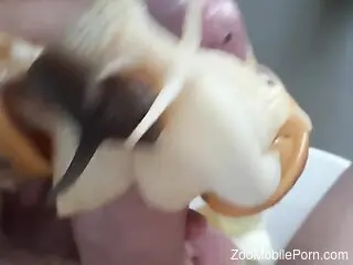 Snails pleasuring the guy's hard cock real hard