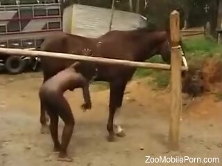 Aroused African babe filmed trying horse porn in outdoor scenes