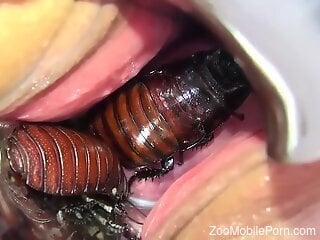 Raw zoophilia shows blonde chick masturbating with bugs