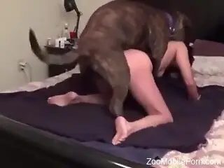 Amateur woman filmed getting hard humped by her dog