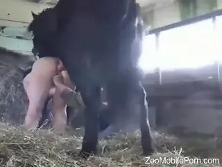 Aroused wife with big tits endures horse porn for hubby