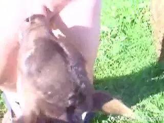 Old man lets curious veal lick his dick in outdoor perversions