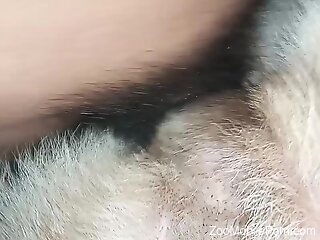 Deep penetration dog sex makes naked man happy