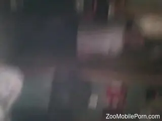 Aroused man grants himself a nice time fucking the dog