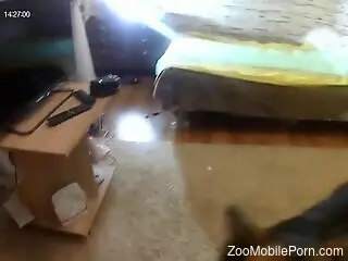 Amateur filmed in secret trying home sex with a dog