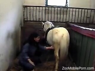 Aroused woman loves touching the horse's penis in a sexual way