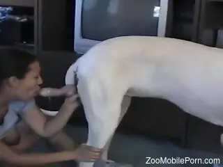 Brunette with big boobs sucks the dog's dick and fucks with it