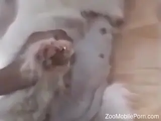 Hot woman craves the dog's dick for a little home fun