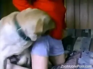 Fine ass woman tries sex with a dog for the first time on cam