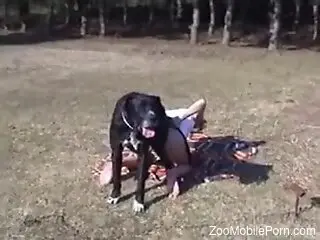 Dog humps nude mature woman and comes on her pussy