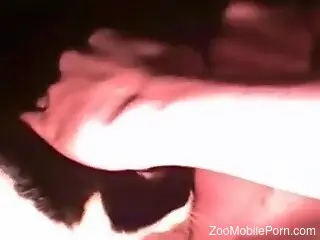 Cat licks man's erect penis while the man jerks off