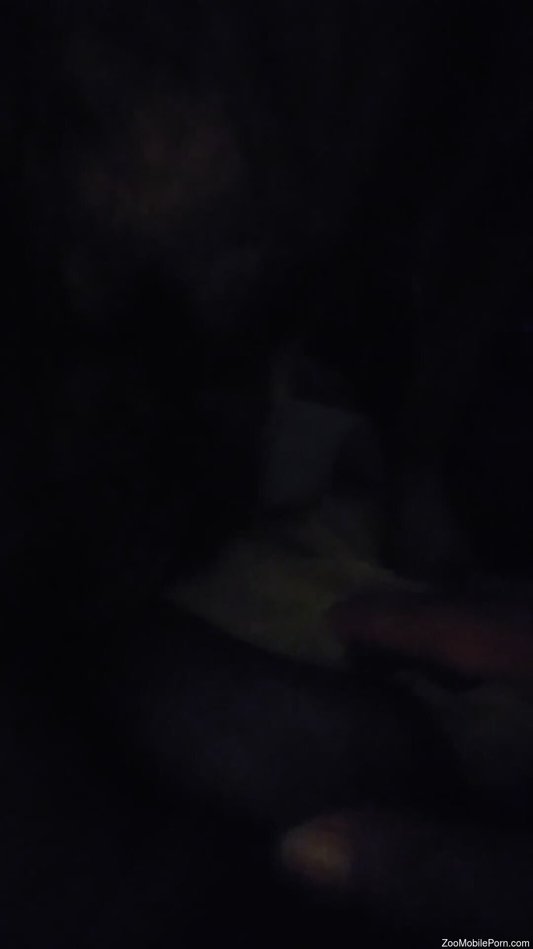 Late-night jerk off turns into dog porno perversions
