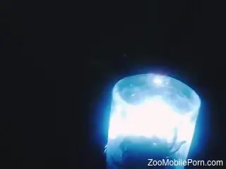 Horny man jerks off with worms crawling on his dick