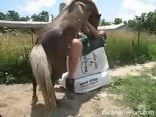 Horse bangs woman hard enough to make her come big time