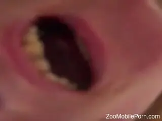 Thirsty amateur gets fucked in the pussy by her dog