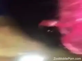 Amateur gets hard rammed by animals in mutual perversions