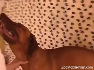 MILF in white lingerie tries sex with a dog in hot positions