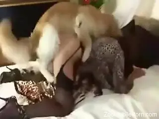 Fine ass woman granted hefty cock in the muff and ass