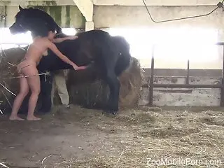 Naked woman prepares to try the stallion's huge cock