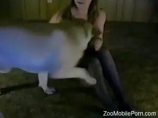 Solo woman presents her assets when the dog begins to fuck her