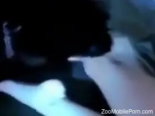 Insolent woman feels dog dick down the vagina in rough cam scenes