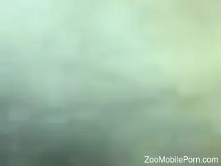 Fine slut feels furry animal cock in both her holes