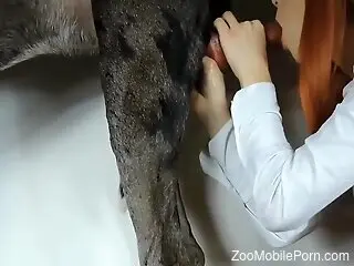 Clothed redhead fools around with a dog dick in excellent kink