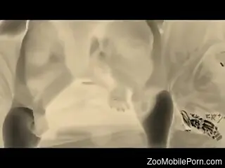 Dog makes woman moan and undulate by fucking her hard
